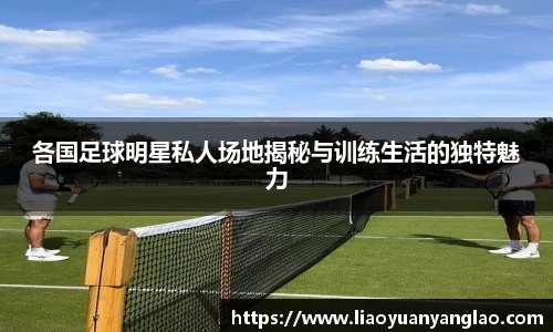 星空综合官方网站